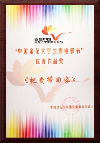 第八屆中國虎嘯獎傳播創意類金獎